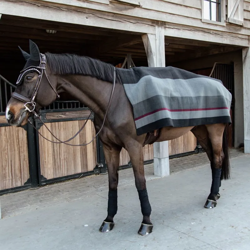 Kentucky Square Heavy Fleece Striped Blanket - Black/Grey-6