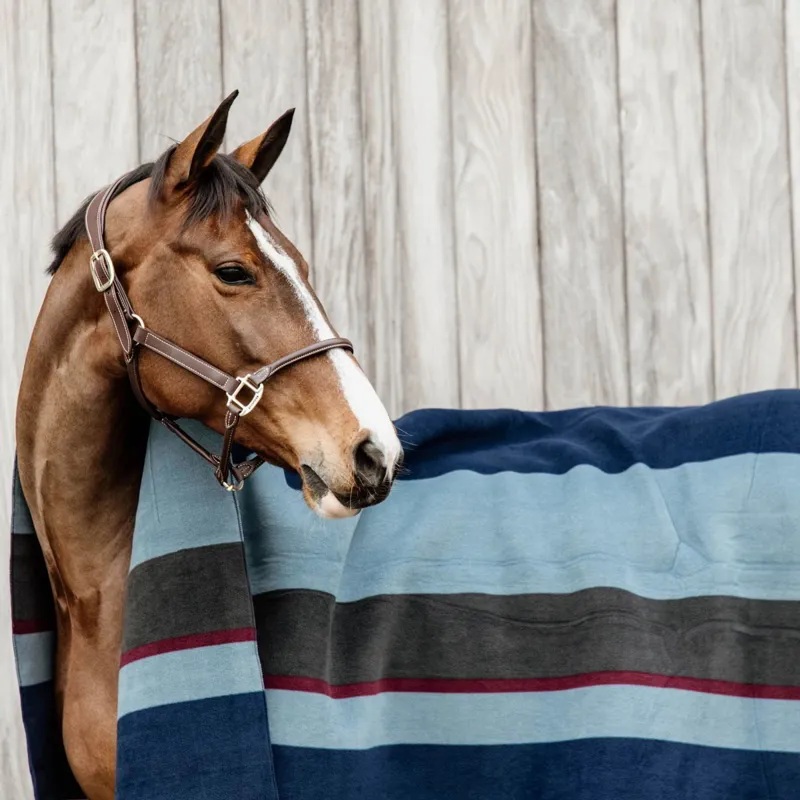 Kentucky Square Heavy Fleece Striped Blanket - Navy/Grey-11