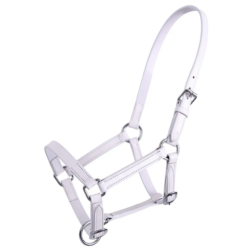 QHP Chico Leather Foal Halter - White