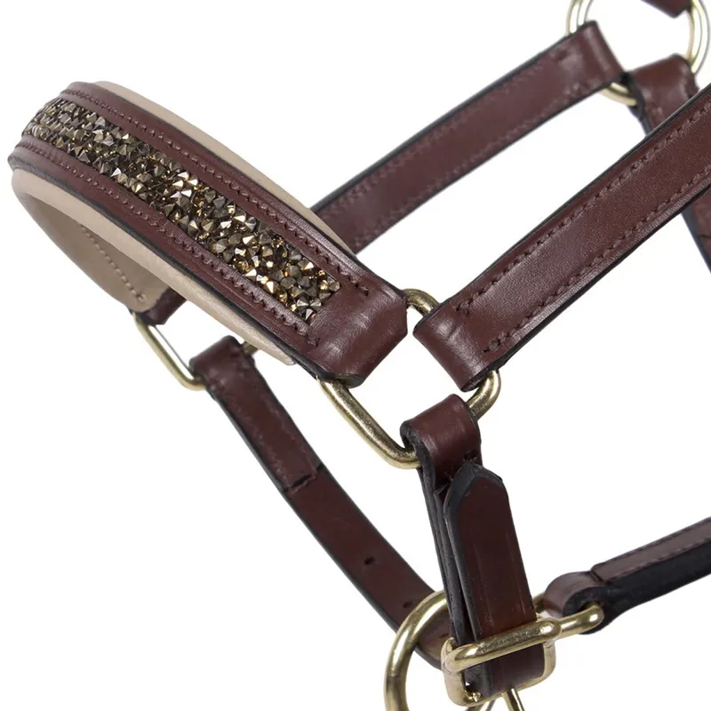 QHP Lupine Leather Foal Halter - Brown/Beige-2