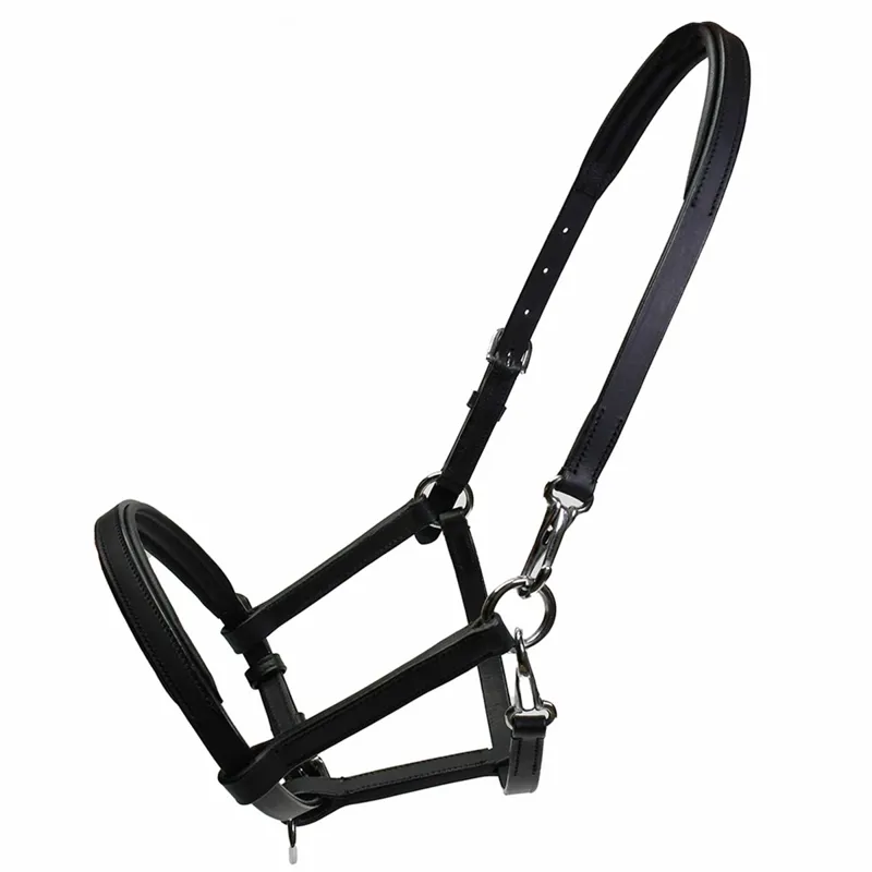 Rhinegold Yearling/Foal Leather Halter - Black