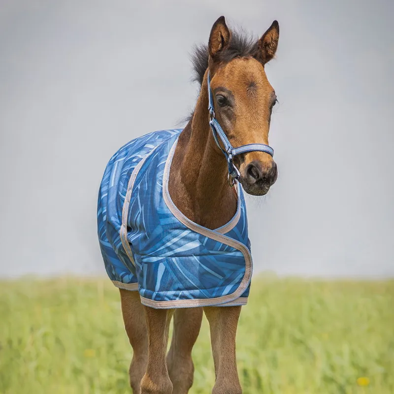 QHP Foal Turnout Blanket - Seashell-1