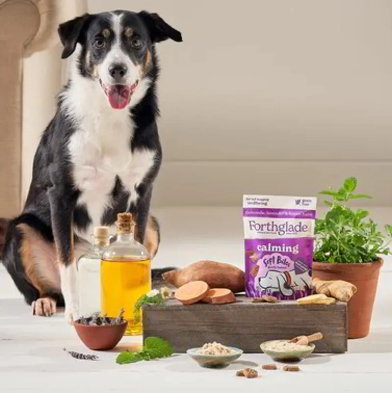 Forthglade Calming Natural Soft Bite Dog Treats - Turkey/Chamomile-2