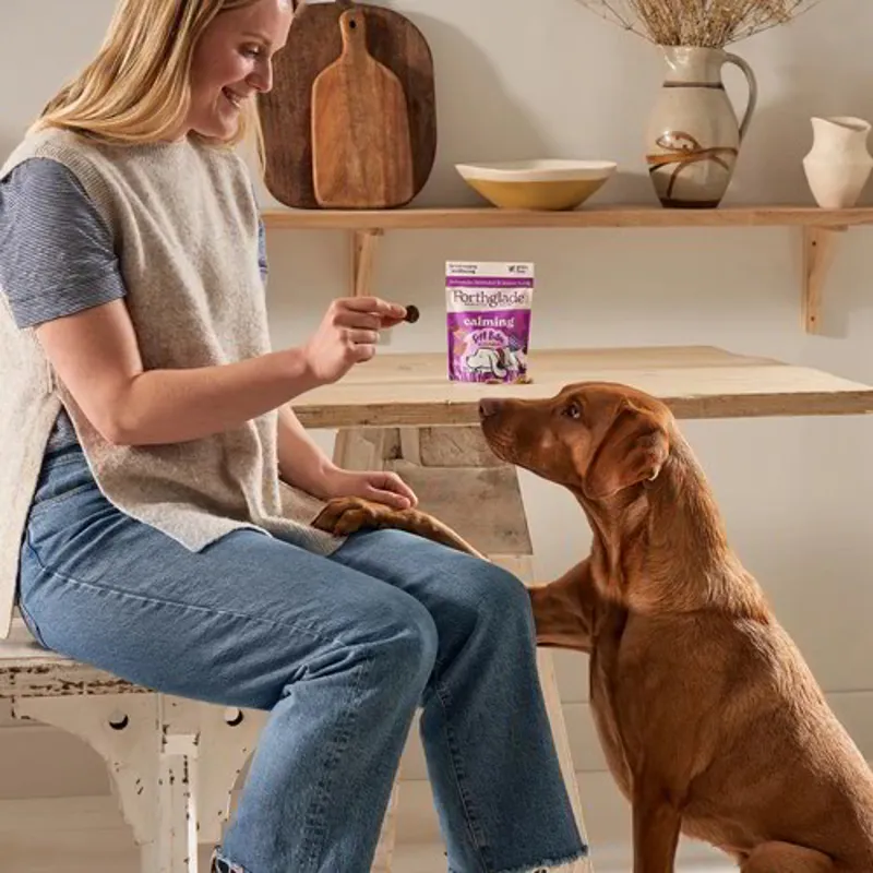 Forthglade Calming Natural Soft Bite Dog Treats - Turkey/Chamomile-4