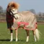 Bucas Freedom Pony Combo Neck Fly Sheet - Hazelnut