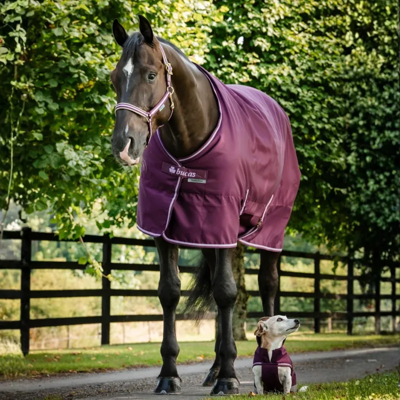 Bucas Freedom 150g Stable Blanket - Blackberry-1