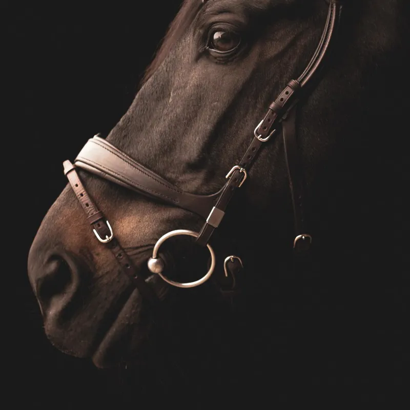 Stubben Freedom II 2505 Bridle Ebony Brown-3
