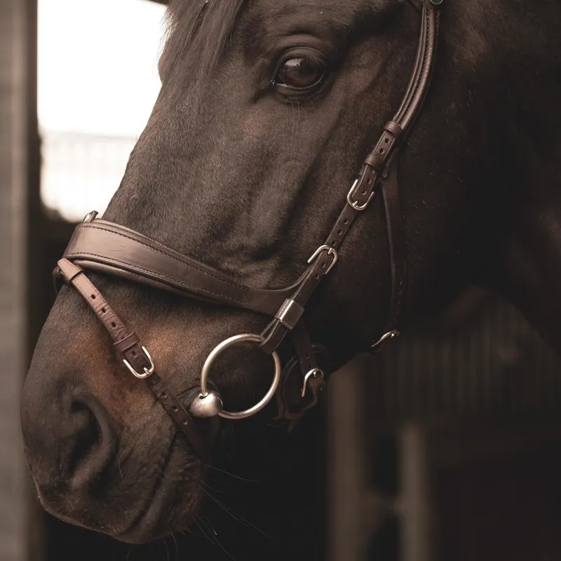 Stubben Freedom II 2505 Bridle Ebony Brown-4