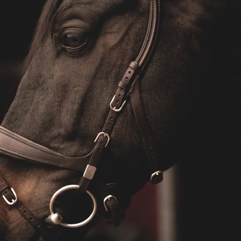 Stubben Freedom II 2505 Bridle Ebony Brown-5