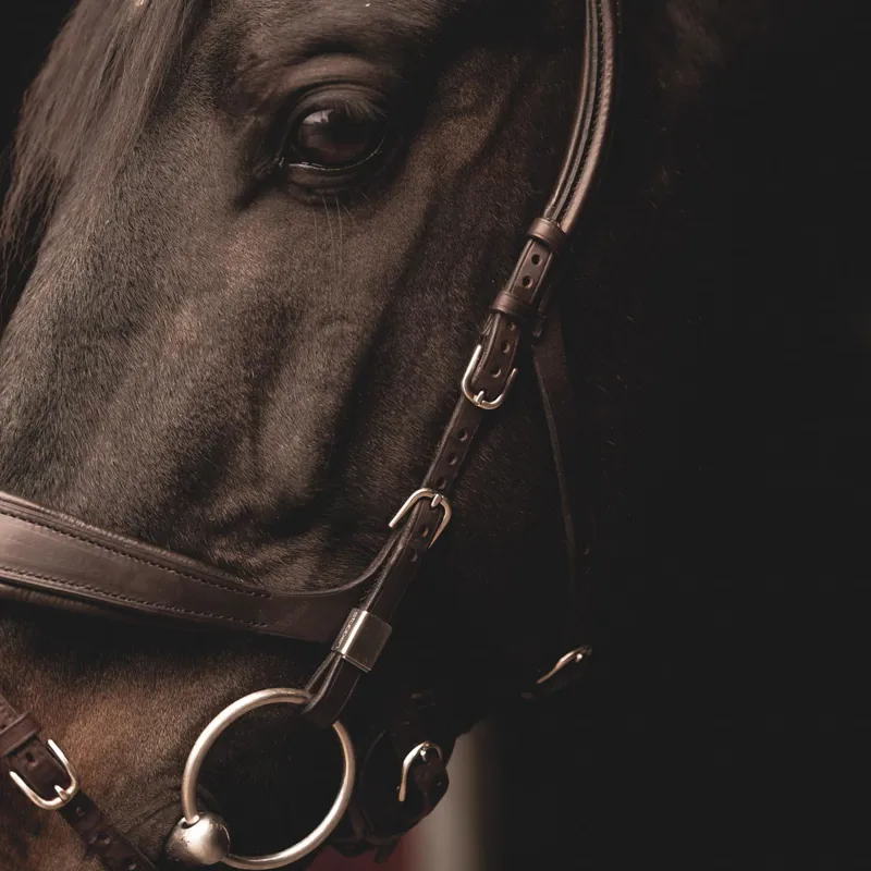 Stubben Freedom II 2505 Bridle Ebony Brown-1