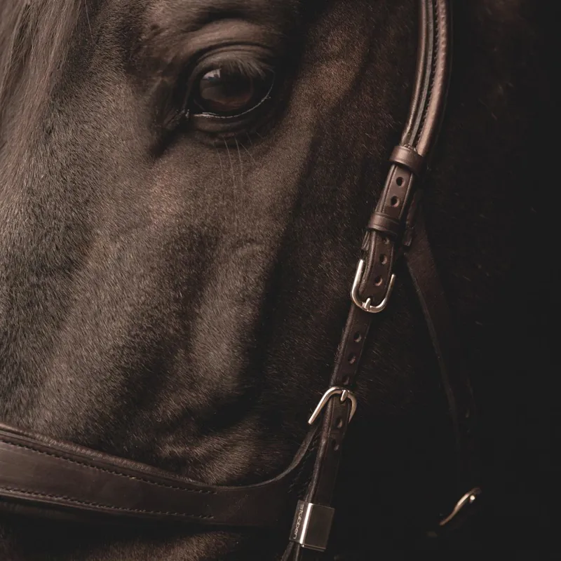 Stubben Freedom II 2505 Bridle Ebony Brown-6