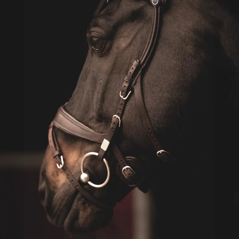 Stubben Freedom II 2505 Bridle Ebony Brown-7