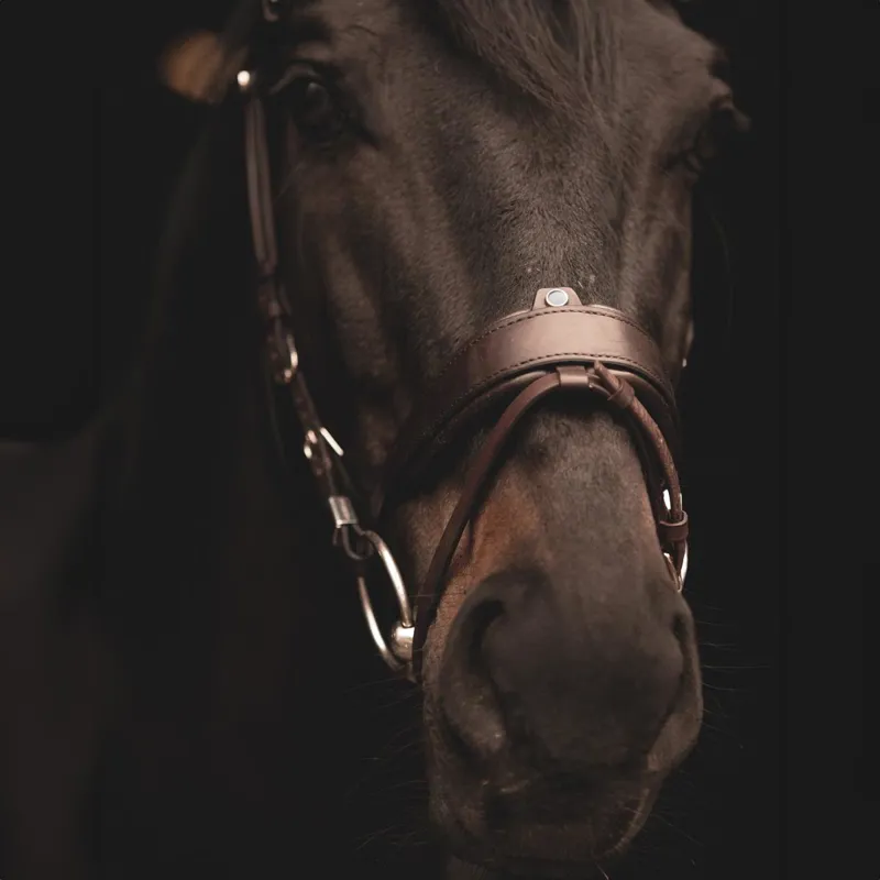 Stubben Freedom II 2505 Bridle Ebony Brown-8