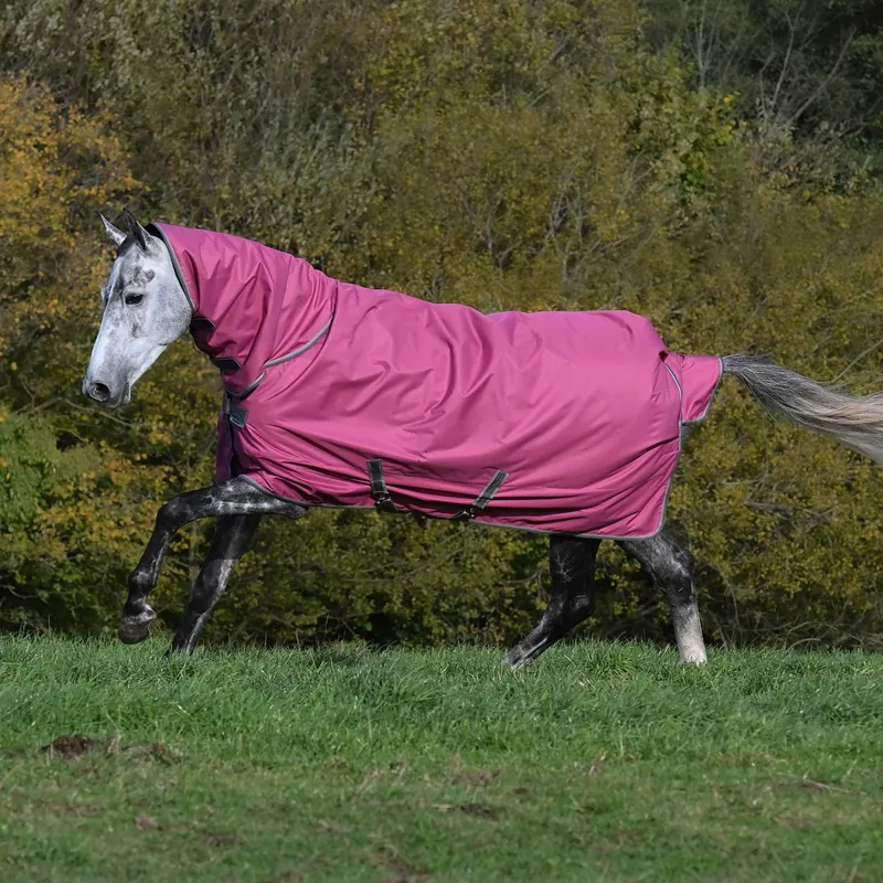 Bucas Freedom 300g Detachable Neck Turnout Blanket - Raspberry