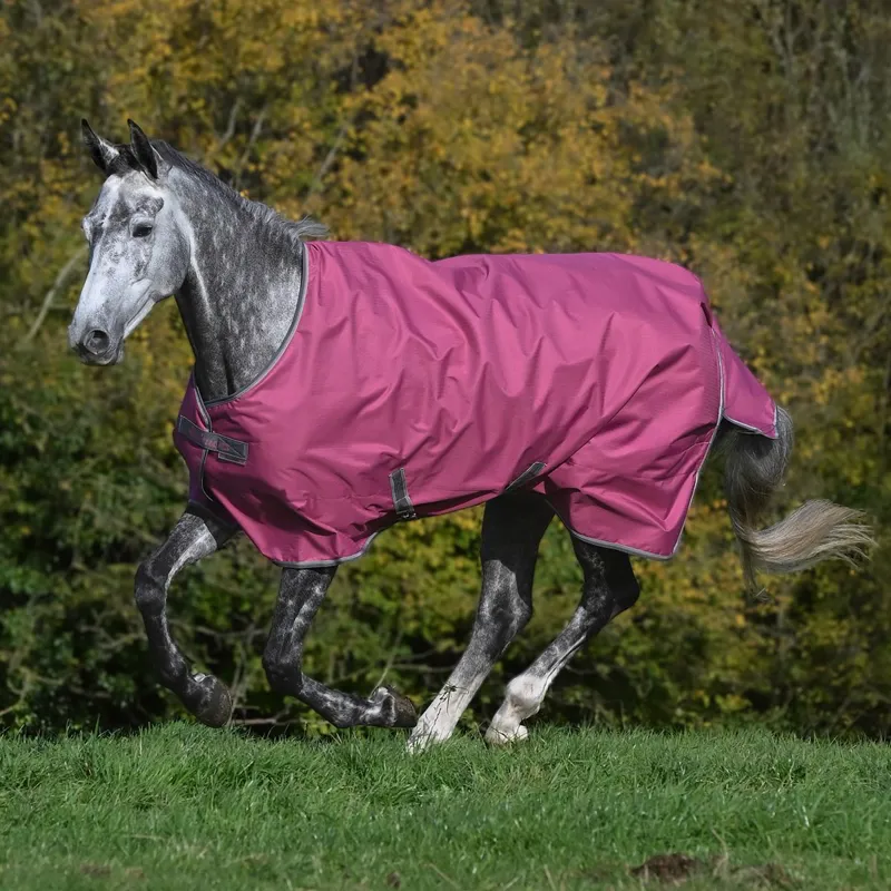 Bucas Freedom 150g Standard Neck Turnout Blanket - Raspberry