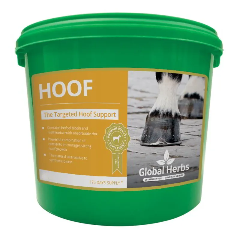 Global Herbs Hoof Powder-1