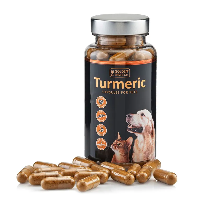 Golden Paste Co. Turmeric Capsules For Pets-1