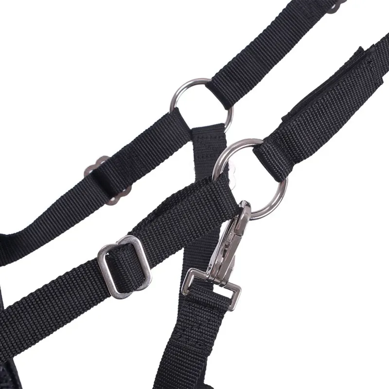 QHP Grazing Muzzle with Nostril Holes - Black-2