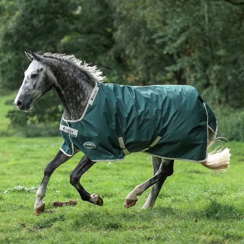Bucas Greenline 300g Standard Neck Turnout Blanket - Green/Cream-9