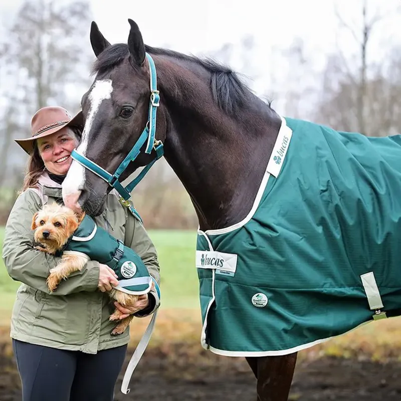 Bucas Greenline 300g Standard Neck Turnout Blanket - Green/Cream-1