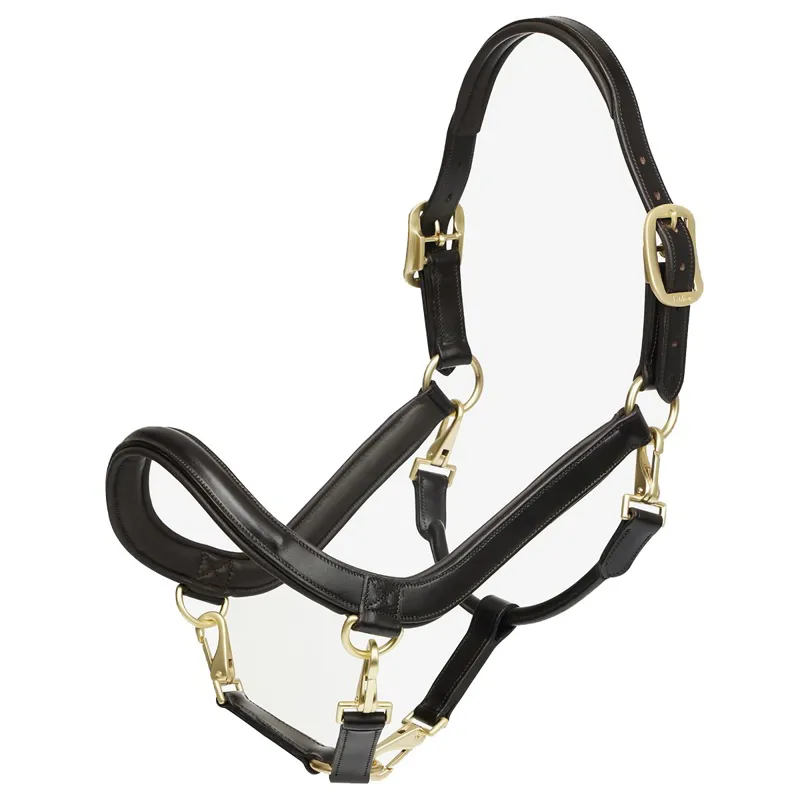 LeMieux Leather Grooming Halter - Brown