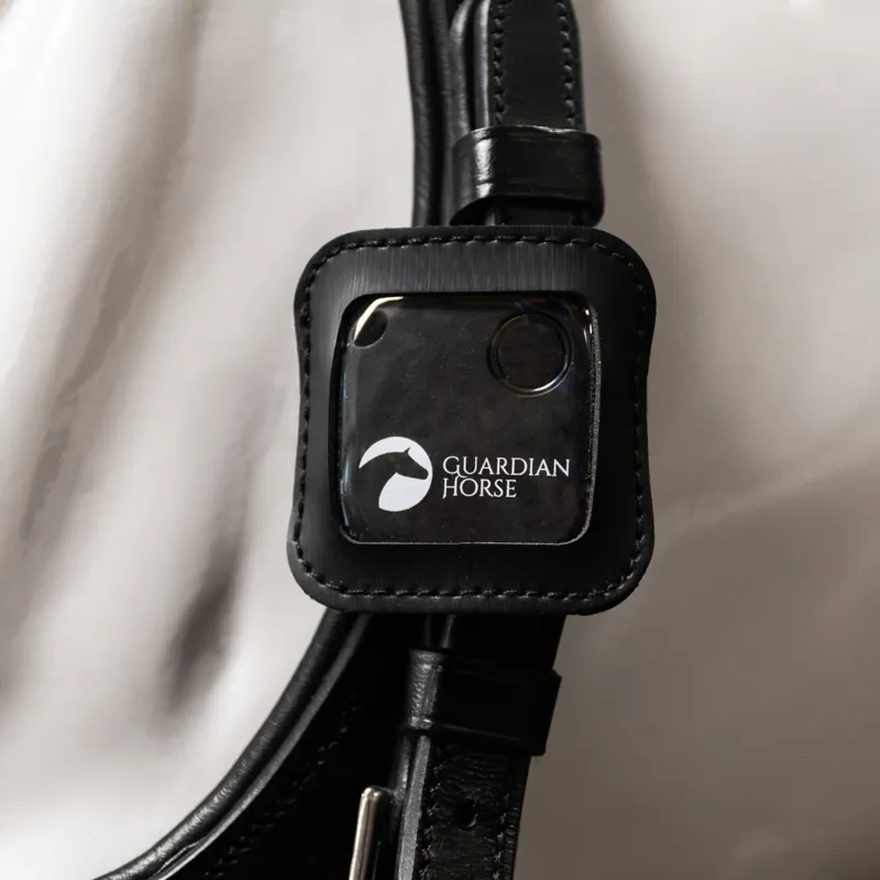 Guardian Horse Accident Tracker-2