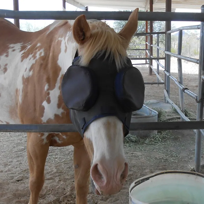 Guardian Horse Replacement Sunshades - 95%-6