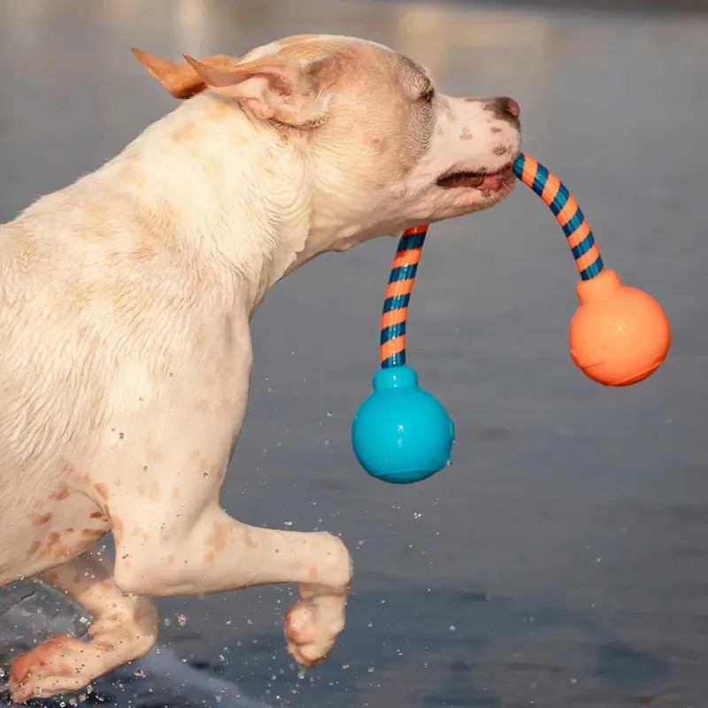 GURU Squeaky Rope Dog Toy-7