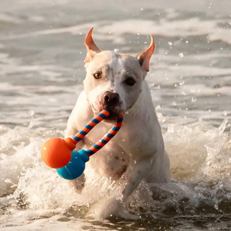 GURU Squeaky Rope Dog Toy-6