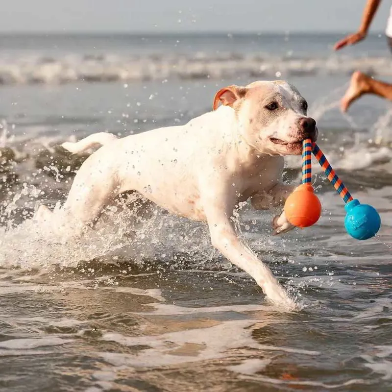 GURU Squeaky Rope Dog Toy-5