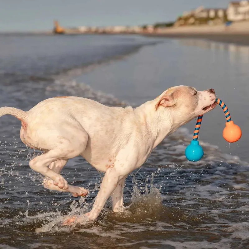 GURU Squeaky Rope Dog Toy-4