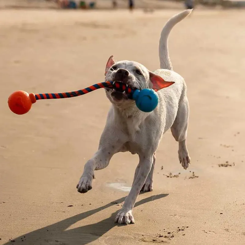 GURU Squeaky Rope Dog Toy-3