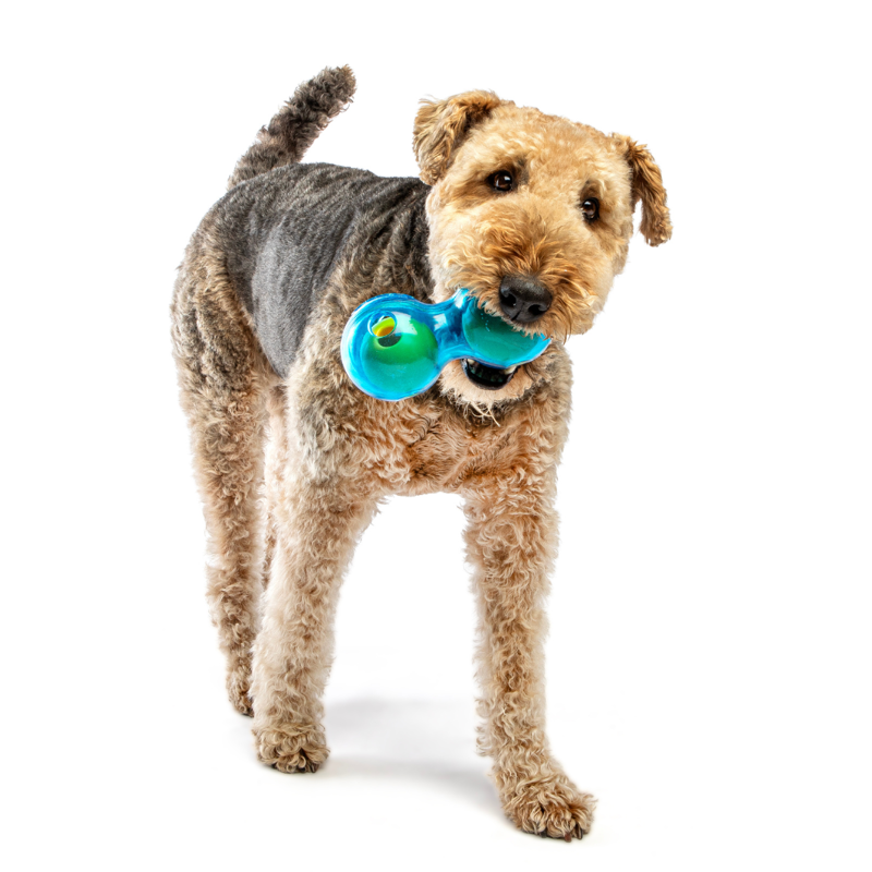 GURU Duo Ball Dog Treat Dispenser Toy-1
