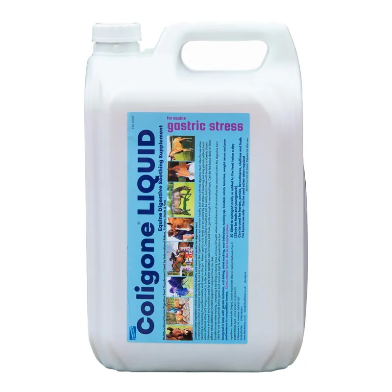 H Bradshaws Coligone Digestion Liquid-3