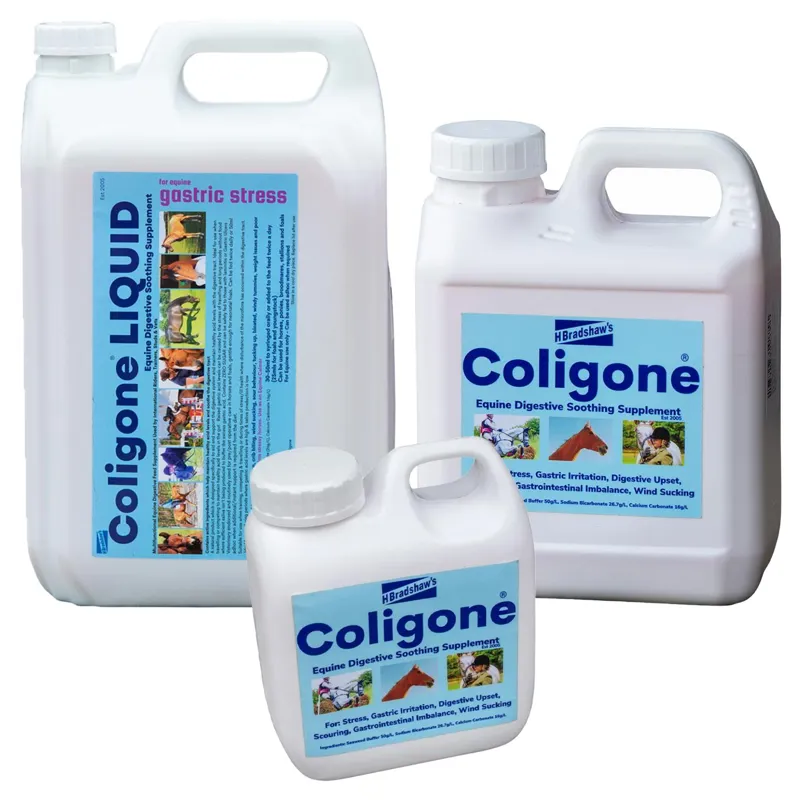 H Bradshaws Coligone Digestion Liquid