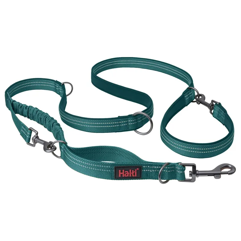 Halti Anatomy Multi Dog Leash - Teal