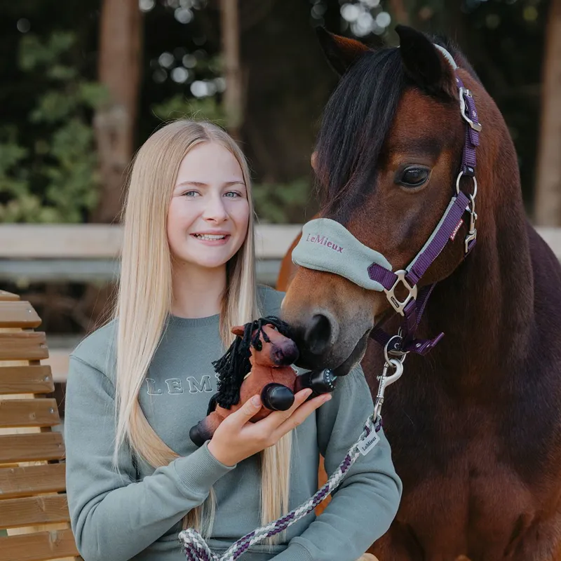 LeMieux Harlow Tiny Beanie Pony - Rolo-5