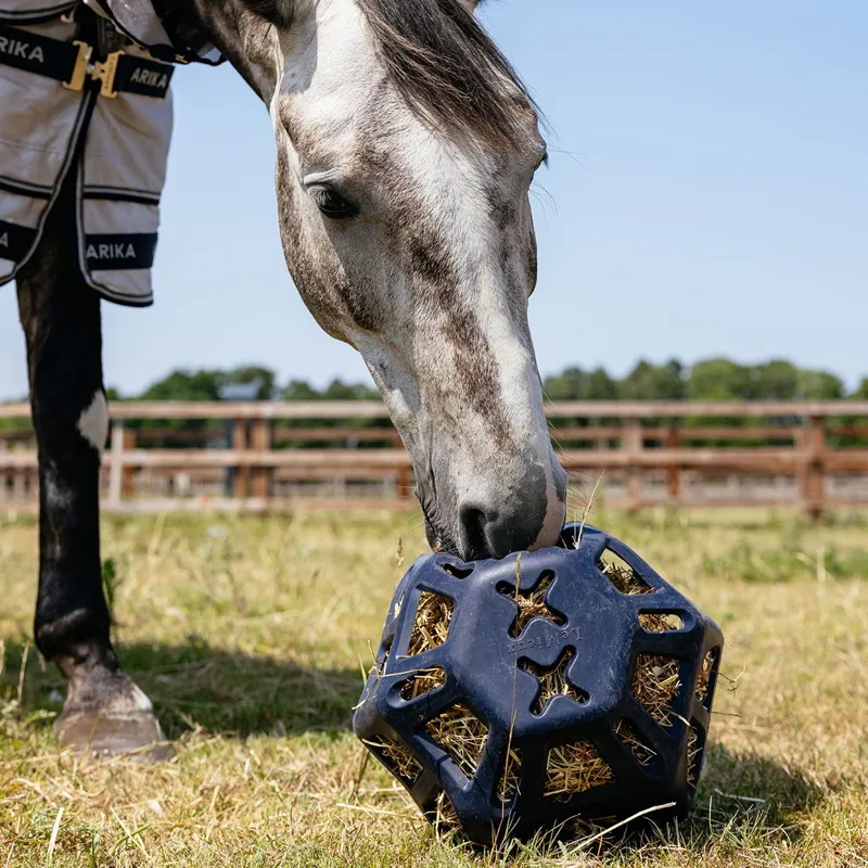 LeMieux Hay Ball - Navy-1