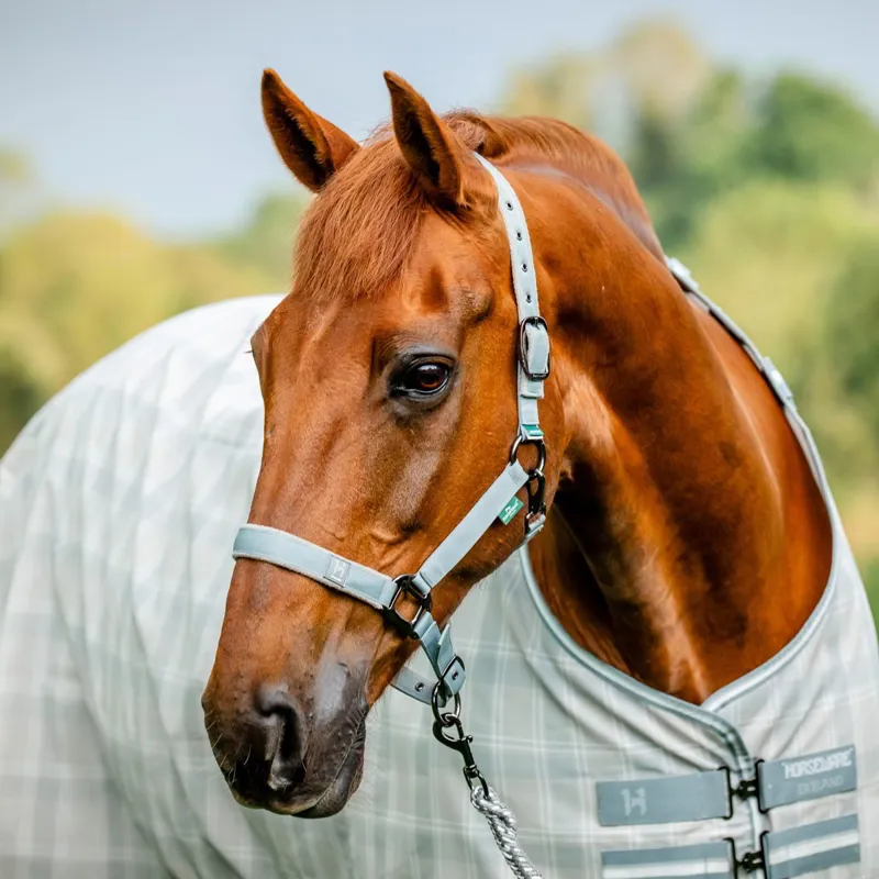 Horseware Newmarket Halter and Lead Rope - Witney Charcoal-3