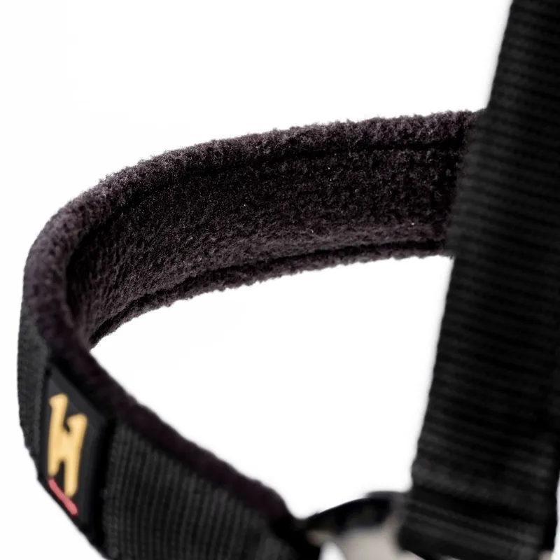 Horseware Newmarket Halter and Lead Rope - Witney Gold-1
