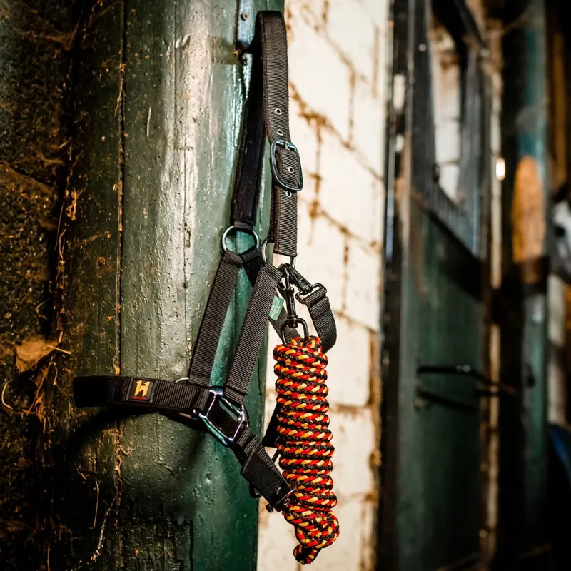Horseware Newmarket Halter and Lead Rope - Witney Gold-4