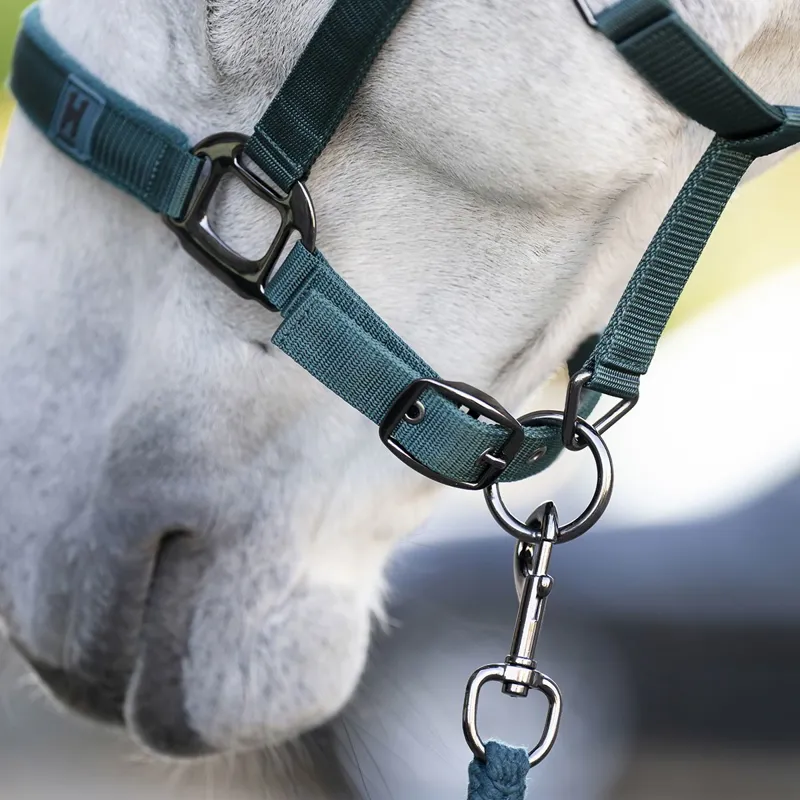 Horseware Halter and Lead Rope Set - Dynasty Green-4