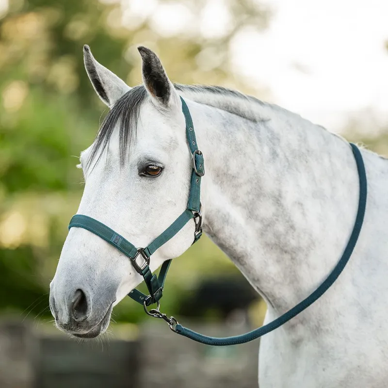 Horseware Halter and Lead Rope Set - Dynasty Green