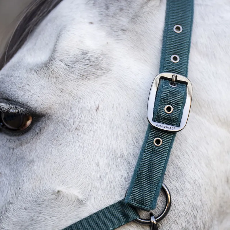 Horseware Halter and Lead Rope Set - Dynasty Green-1