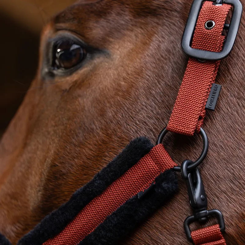 Covalliero Halter - Rust-7