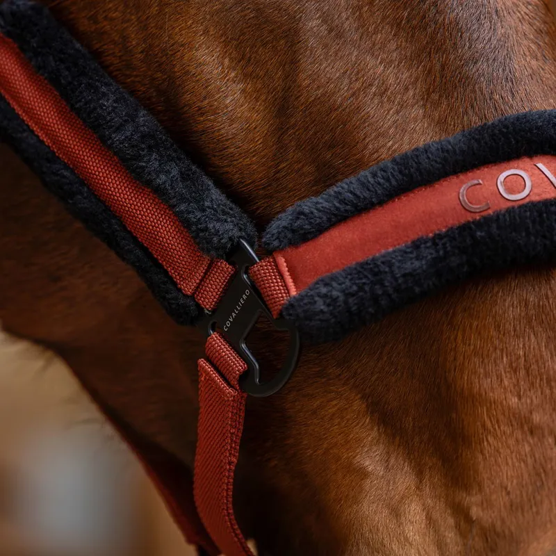 Covalliero Halter - Rust-8