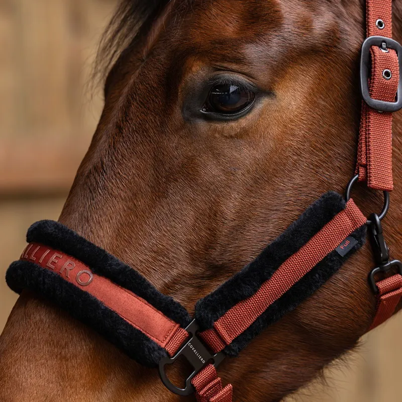 Covalliero Halter - Rust-4