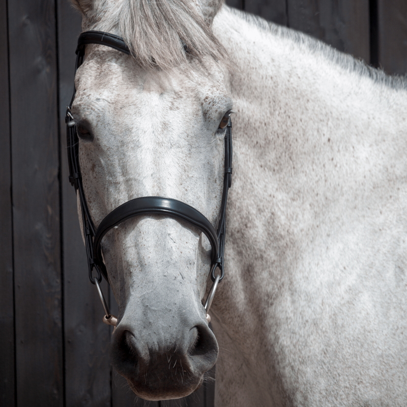 Henry James Cavesson Bridle - Black-2