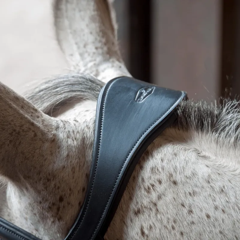Henry James Cavesson Bridle - Black-3