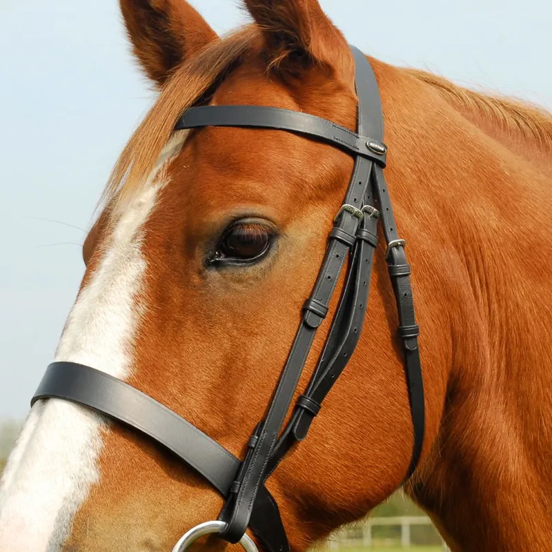Heritage Hunter Bridle with Wide Noseband and Reins - Black-1